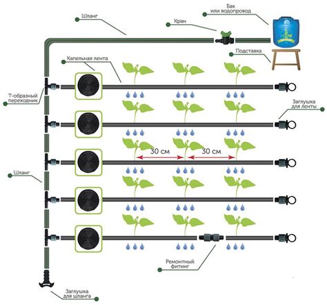 Купить капельный полив «Дачный» от 799руб | Интернет-магазин «Дачный»