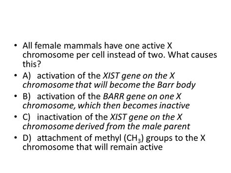 Xist Gene In X Chromosome Inactivation Occurs Telegraph