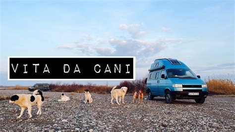 Due Nomadi Digitali In Camper In Grecia Quando Si Dice Vita Da Cani