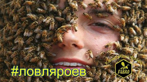 "Давайте вместе словим пчел" & Ловля роев #1 - YouTube