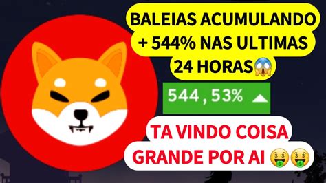 Baleias Acumulando Shiba Inu Ser Que Elas Tem Informa Es