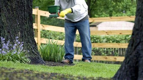 Lawn Care Fertilizer Service - Spring, Fall & More | Green Giant Services