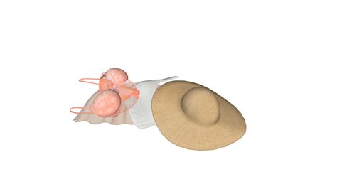 Bikini Set 3D Warehouse