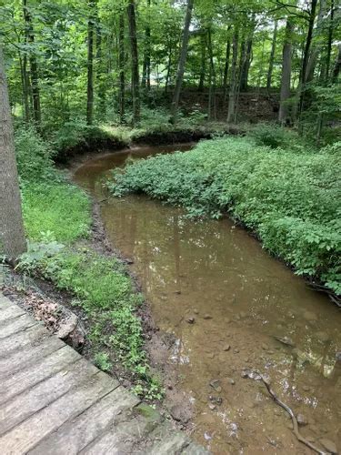 hikes  trails  parma town park alltrails