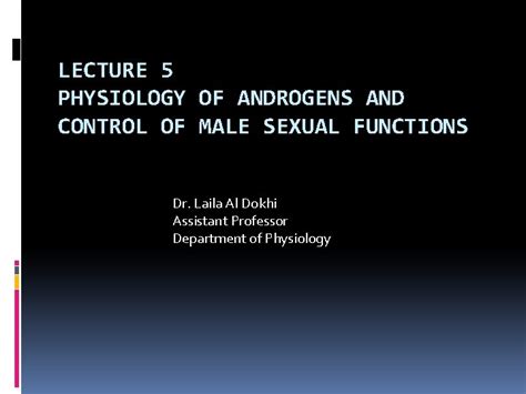 Lecture 5 Physiology Of Androgens And Control Of