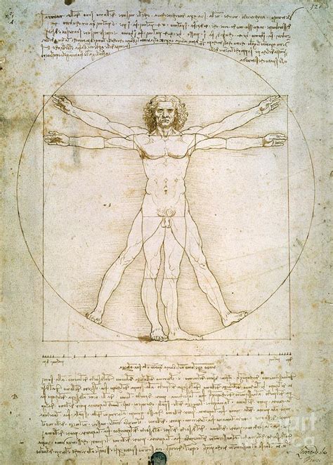 Leonardo Da Vinci Human