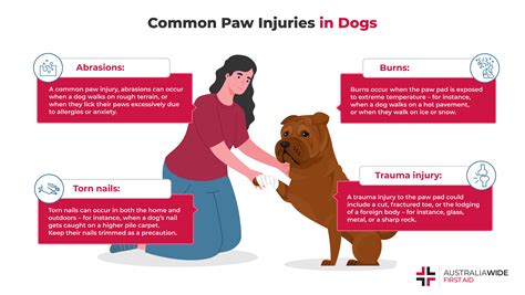 What Can You Put On Dogs Paw Pads