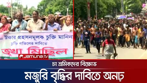 ১৪৫ টাকা নয় দৈনিক ৩শ টাকা মজুরির দাবিতে অনড় চা শ্রমিকরা Tea