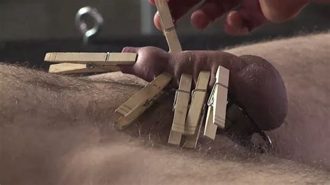 Vídeos de Tortura gay gratis xHamster