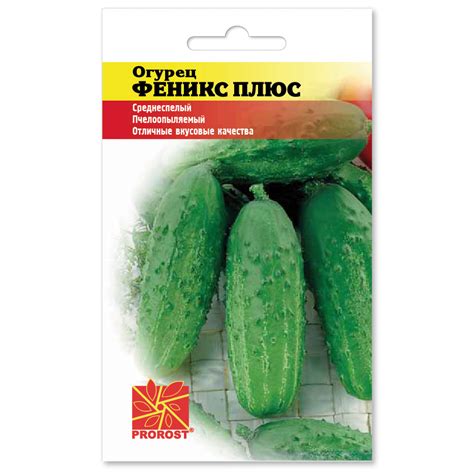 Огурец Феникс плюс Prorost | отзывы