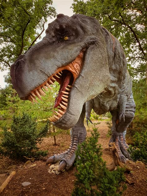 Tyrannosaurus Rex Photos