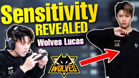 Wolves Lucass Sensitivity And Hud Revealed Codm Youtube