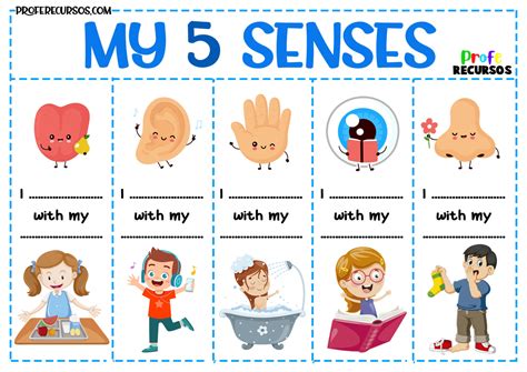 Learning Five Senses