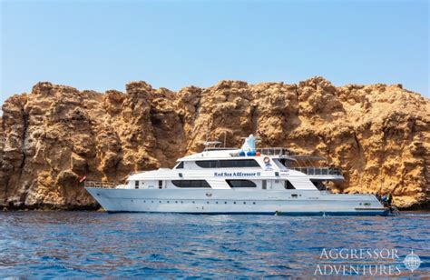 Scuba Advisor Safarischiff Red Sea Aggressor Ii Ägypten