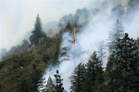 Foto Upaya Helikopter Bantu Padamkan Kebakaran Hutan Di California