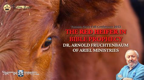 Clip The Red Heifer In Bible Prophecy Dr Arnold Fruchtenbaum Fall