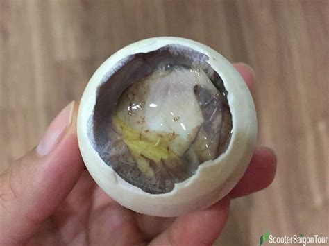 Balut In Vietnam Fertilized Duck Egg Or Hot Vit Lon 40 OFF