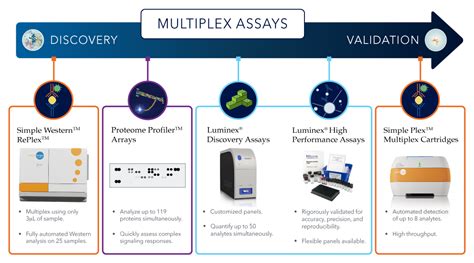 Multiplex Assays And Multiplex Immunoassays Bio Techne