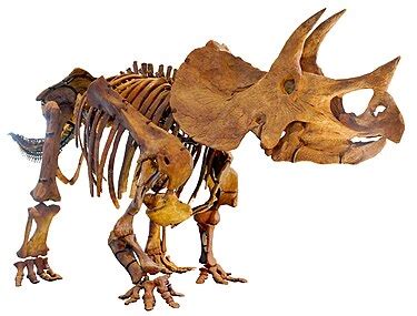 dinosaur wikipedia