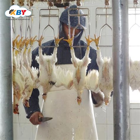 China Automatic200 500 Small Poultry Chicken Slaughtering Equipment