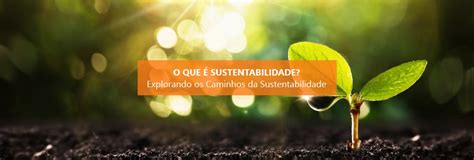 O que é sustentabilidade?