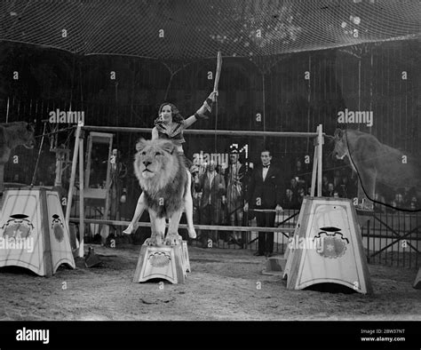 Female Circus Lion Tamer