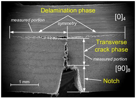 Crack Measurement Based On Sem Image Consisting Of Notch Transverse Download Scientific