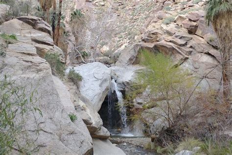 Explore Canyons and Hike to a Beautiful Desert Oasis near Palm Springs ...