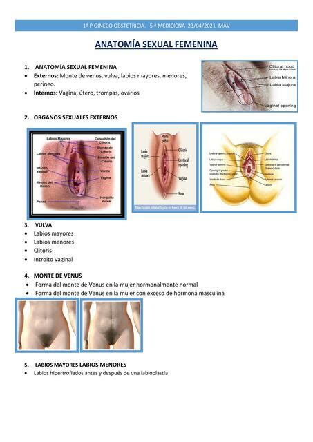 Anatomía Sexual Femenina Fernanda Gurgel uDocz