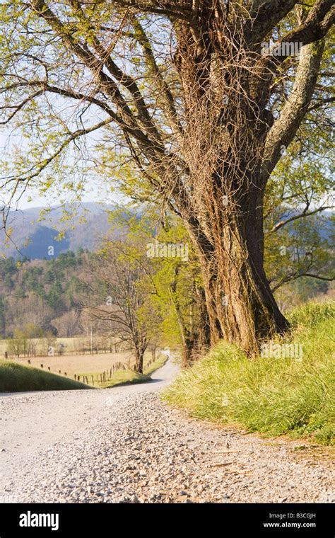 Cades Cove in the Great Smoky Mountains Stock Photo - Alamy