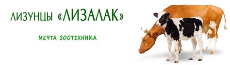 ЛИЗАЛАК лизунцы для всех видов животных: КРС, МРС, Олени, овцы, козы