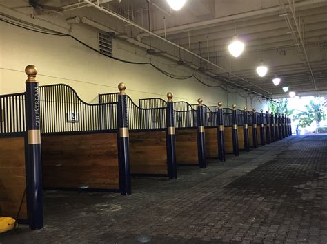 Why Gulfstream Park entries Equibase listings are confusing pro bettors 4