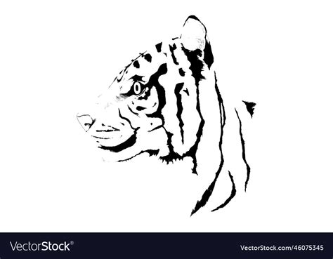 Line drawing of tiger profile hand-drawn Vector Image