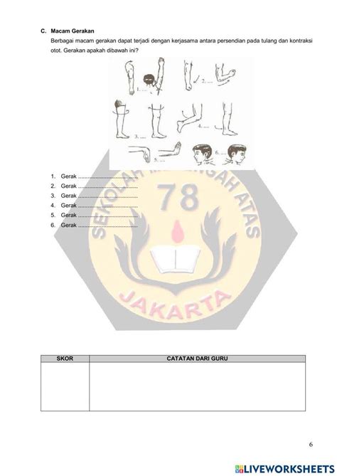 Pdf Online Exercise Sistem Gerak Live Worksheets