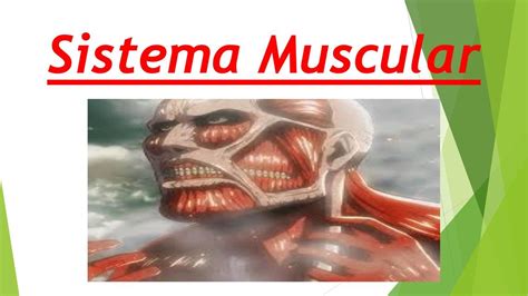 Sistema Muscular Bryan Josue Zambrano Anchundia Udocz