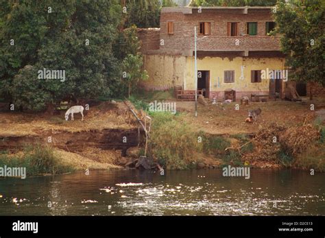 egypt life   nile stock photo alamy