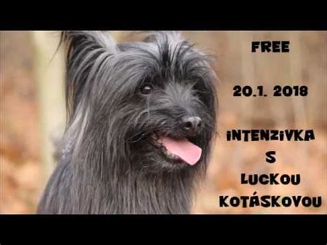 FREE 20 1 18 Lucka Kotásková YouTube