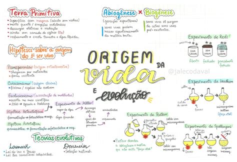 Origem Seres Vivos - A Origem Dos Primeiros Seres Vivos