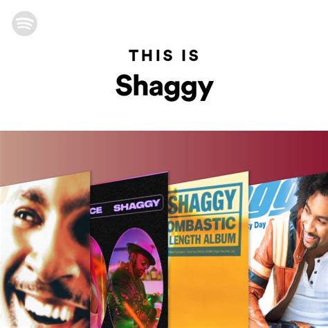 Best Of Shaggy Album