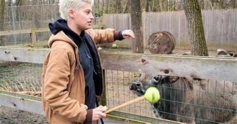 Throng Of Fans Shows Up At Paws Discovery Farm In Mount Laurel To Say