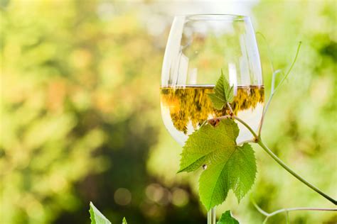 What Is A Dry White Wine Driest White Wines For 2025 Cozymeal