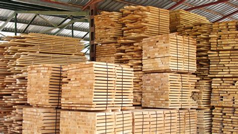 Деревообработка и производство ДСП. Экофильтр