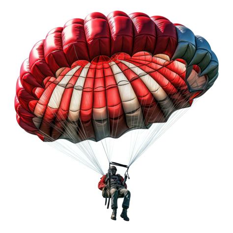 skydiver flying   open parachute isolated  stock photo