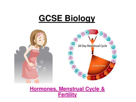 Gcse Aqa Biology Menstrual Cycle Hormones And Fertility Ppt And Wsheets