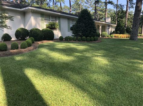 What Kind Of Grass To Have In Georgia Storables