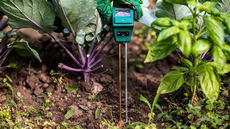 Maximize Crop Yield While Minimizing Water Usage With Soil Moisture