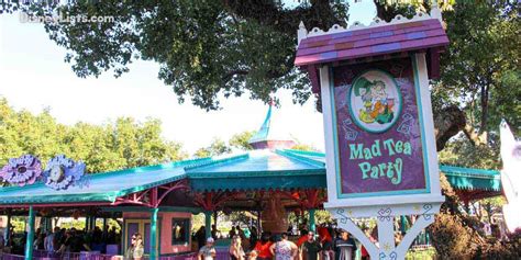 8 Facts and Secrets about Mad Tea Party at Disney World – DisneyLists.com