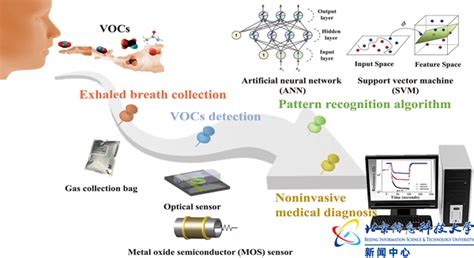 【最新成果】尤睿教授团队：电子鼻技术在呼出疾病分析中的研究进展科教学术北京信息科技大学新闻网