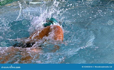 muscular swimmer   front stroke   pool stock footage