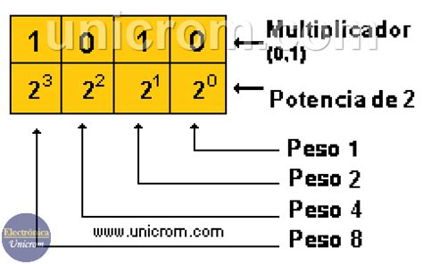 Sistemas De Numeraci N Y Sus Conversiones Mind Map